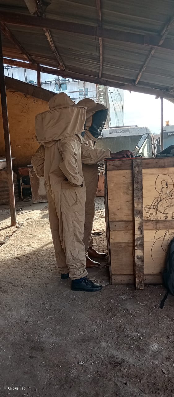 SMART BEEKEEPING TAKES SHAPE AS YOUNG INNOVATORS LEAD ADEMNEA FIELD TRIALS